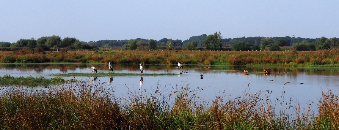 Ökologie & Umwelt